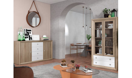 +3 APARADOR / VITRINA