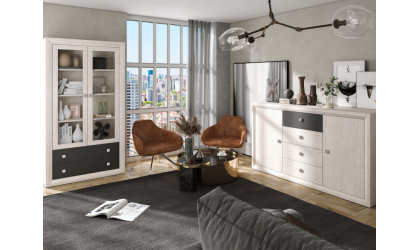 +3 APARADOR / VITRINA