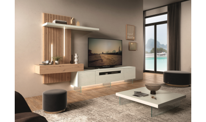 Mueble de salón LIONAC